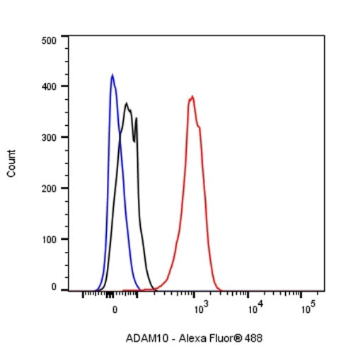ADAM10 Rabbit polyclonal antibody