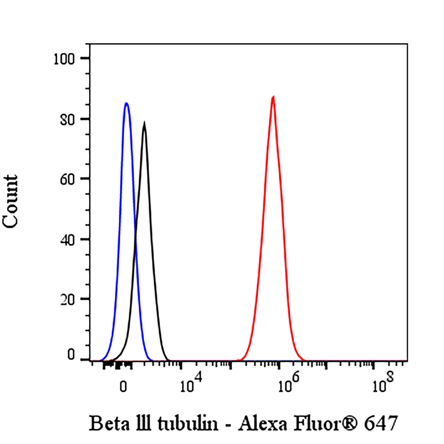 Beta III tubulin Recombinant Rabbit mAb (Alexa Fluor® 647 Conjugate) (SDT-251-28)
