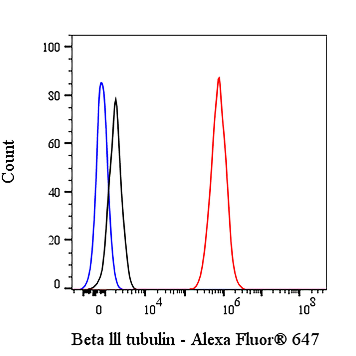 Beta III tubulin Recombinant Rabbit mAb (Alexa Fluor® 647 Conjugate) (SDT-251-28)