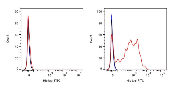 His tag Recombinant Rabbit mAb (FITC Conjugate) (S-1398-151)