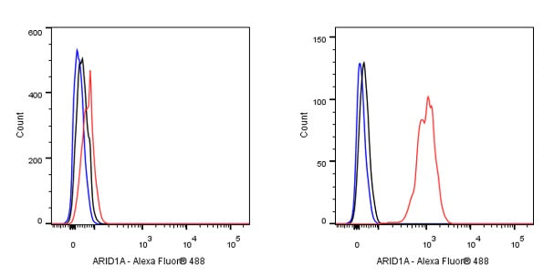 ARID1A Recombinant Rabbit mAb (S-440-27)