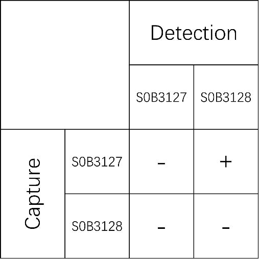 PTH Recombinant Rabbit mAb (SDT-408-78)