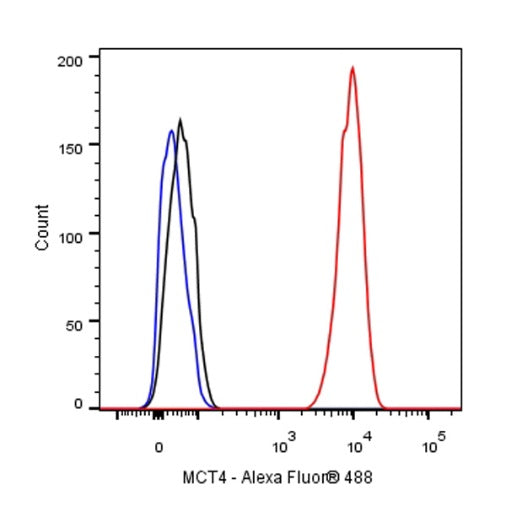 S-RMab® MCT4 Recombinant Rabbit mAb (S-1437-7)