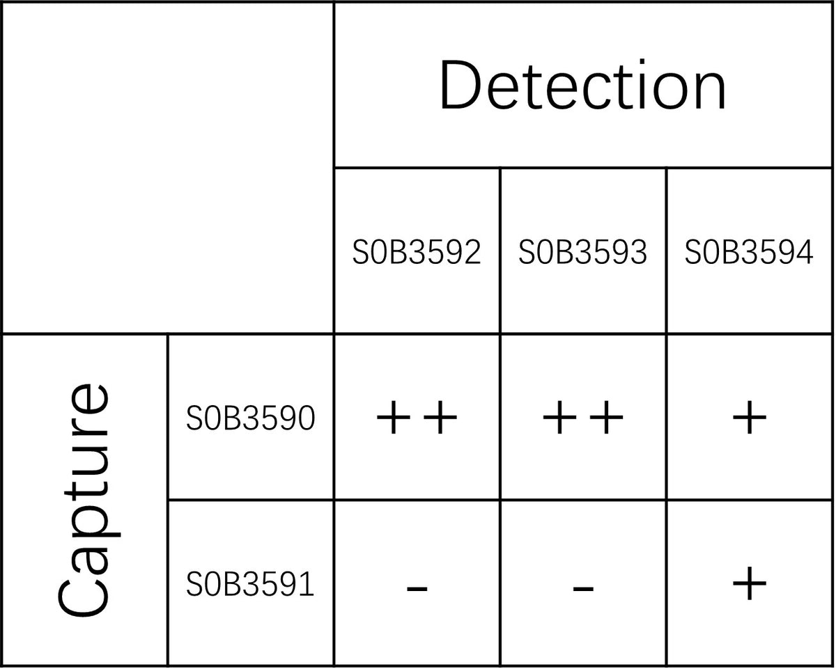 IL-21 Recombinant Rabbit mAb (SDT-768-227)