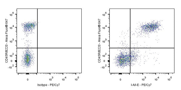 PE-Cy7 Rat Anti-Mouse I-A/I-E Antibody (M5/114.15.2)