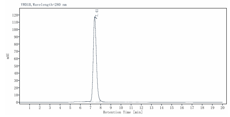 CD28 Fc Chimera Protein, Human/Cynomolgus/Rhesus macaque