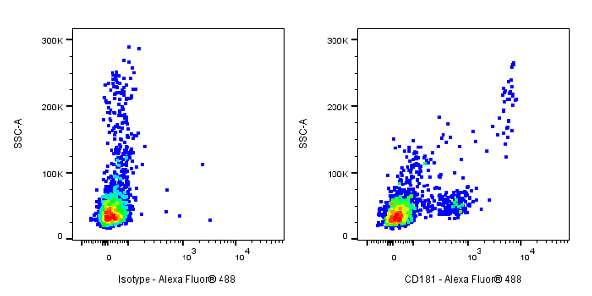 Mouse Anti-Human CD181 Antibody (S-3490)