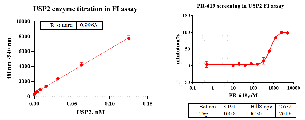 USP2 His Tag Protein,Human