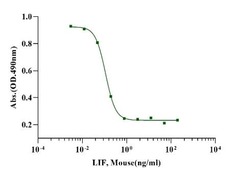 LIF Protein, Mouse