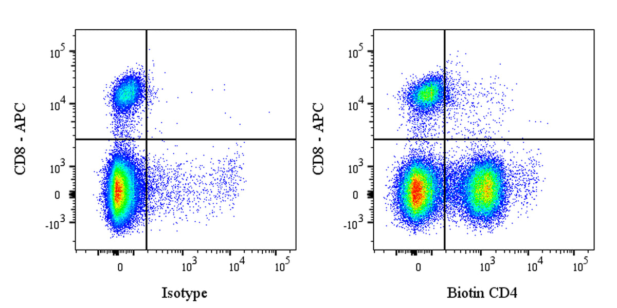 Biotin Rat Anti-Mouse CD4 antibody (S-1259-5)