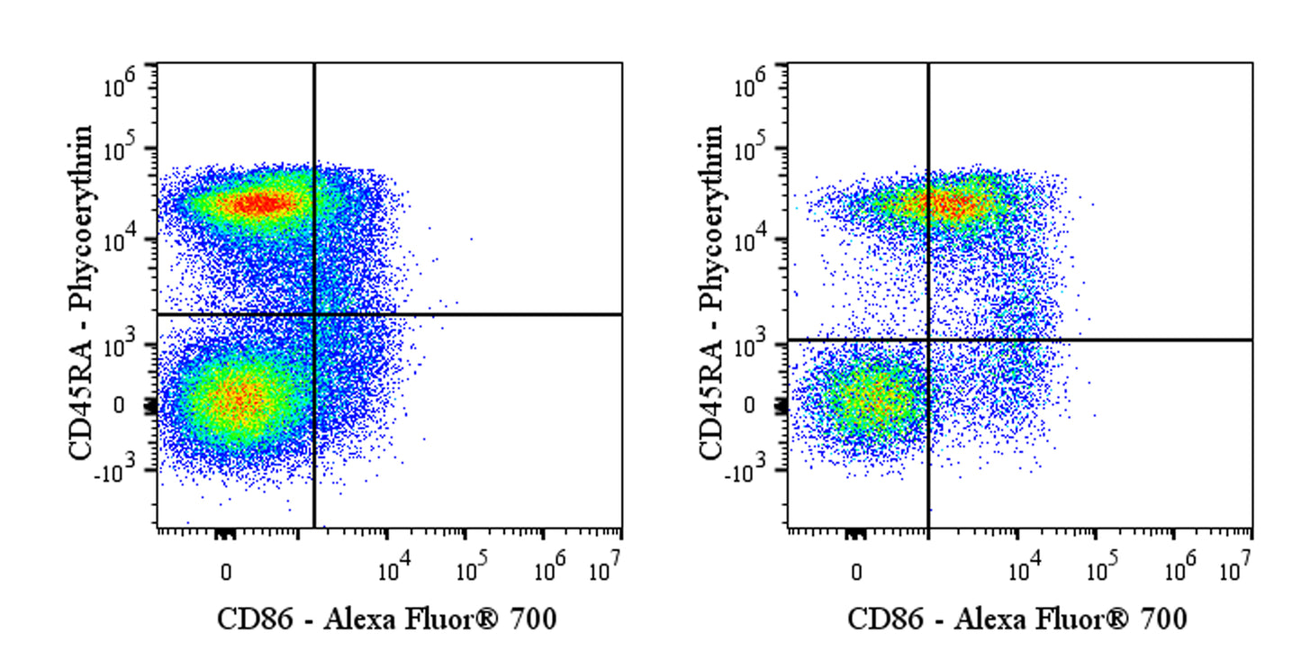 Alexa Fluor® 700 Mouse Anti-Rat CD86 Antibody (24F)