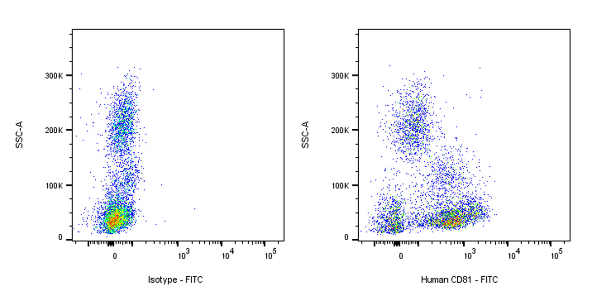 FITC Mouse Anti-Human CD81 Antibody (5A6)