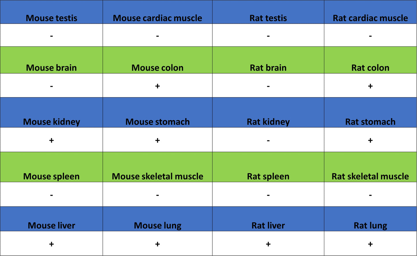 Phospho-Acetyl-CoA Carboxylase (Ser79) Recombinant Rabbit mAb (S-4302)