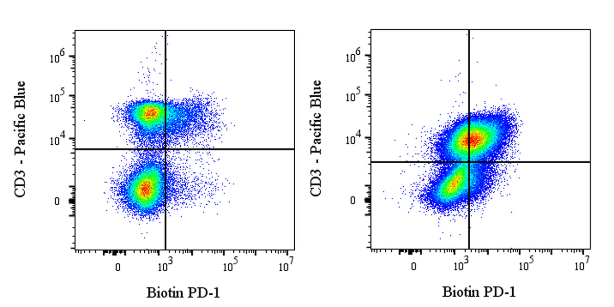 Biotin Rat Anti-Mouse PD-1 Antibody (S-798-5)