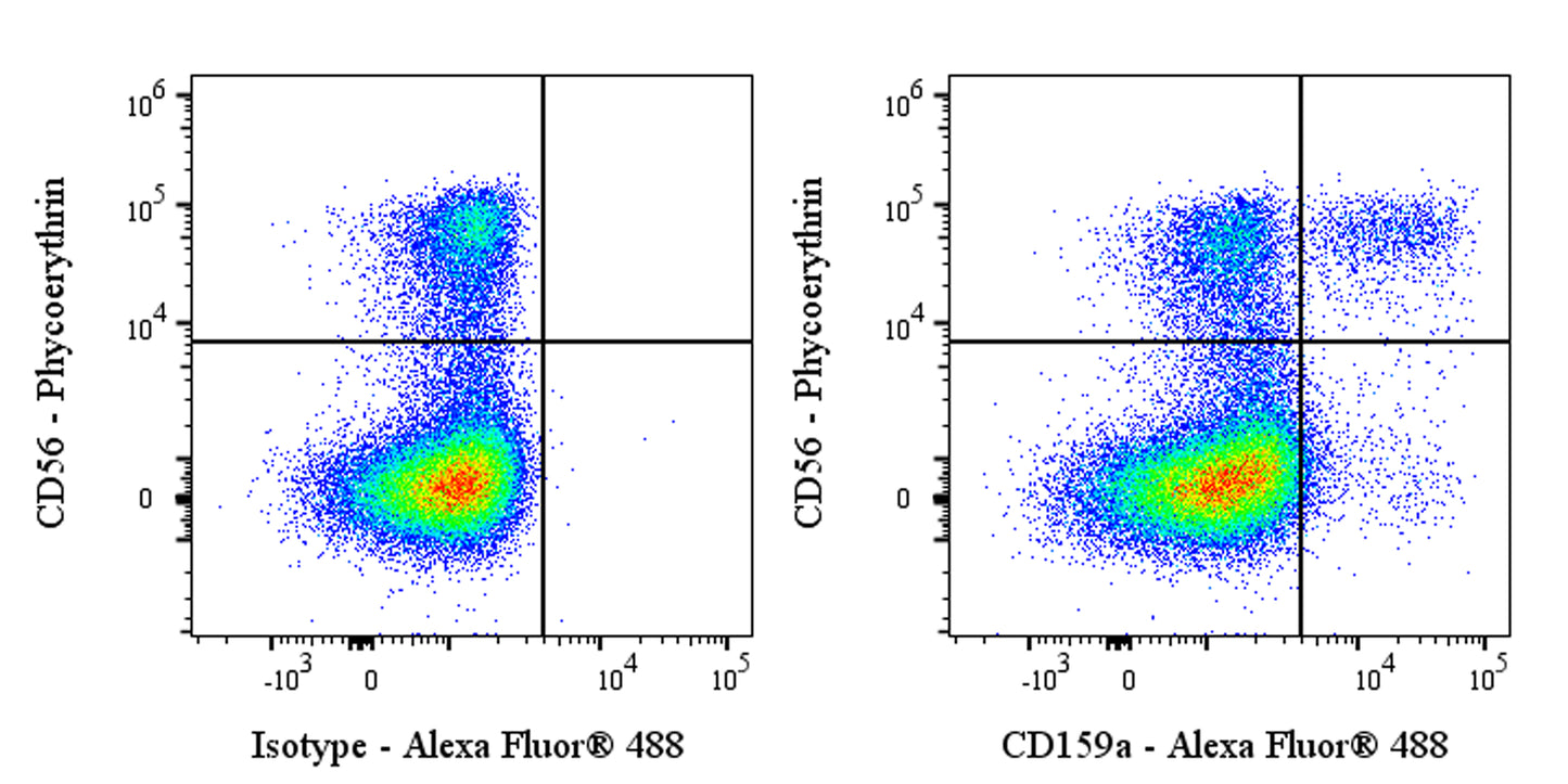 Alexa Fluor® 488 Mouse Anti-Human CD159a Antibody (S-2919)