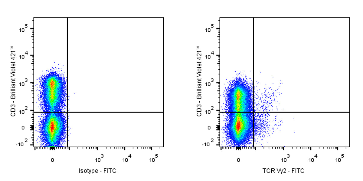 FITC Armenian hamster Anti-Mouse TCR Vγ2 Antibody (UC3-10A6)