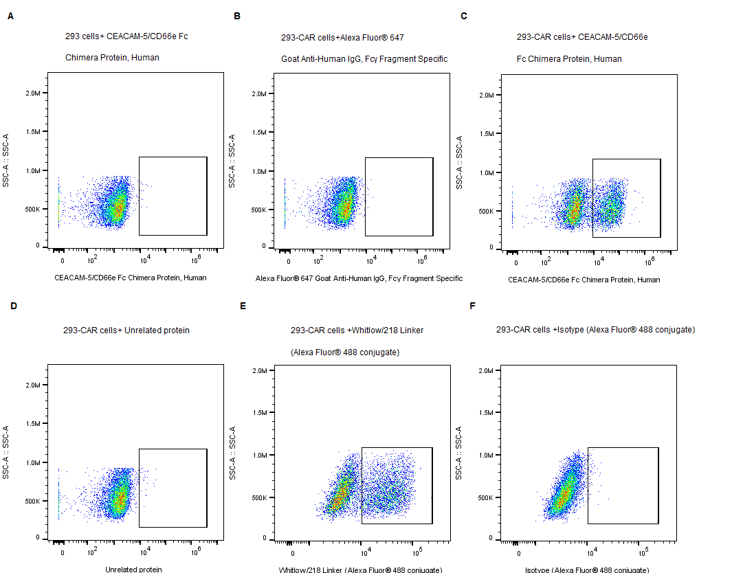 CEACAM-5/CD66e Fc Chimera Protein, Human