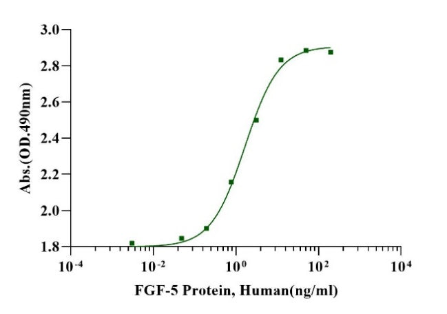 FGF-5 Protein, Human