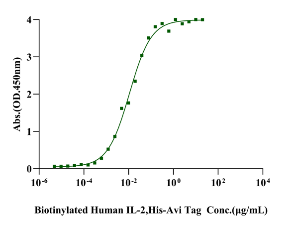 IL-2R alpha/CD25 His Tag Protein, Human