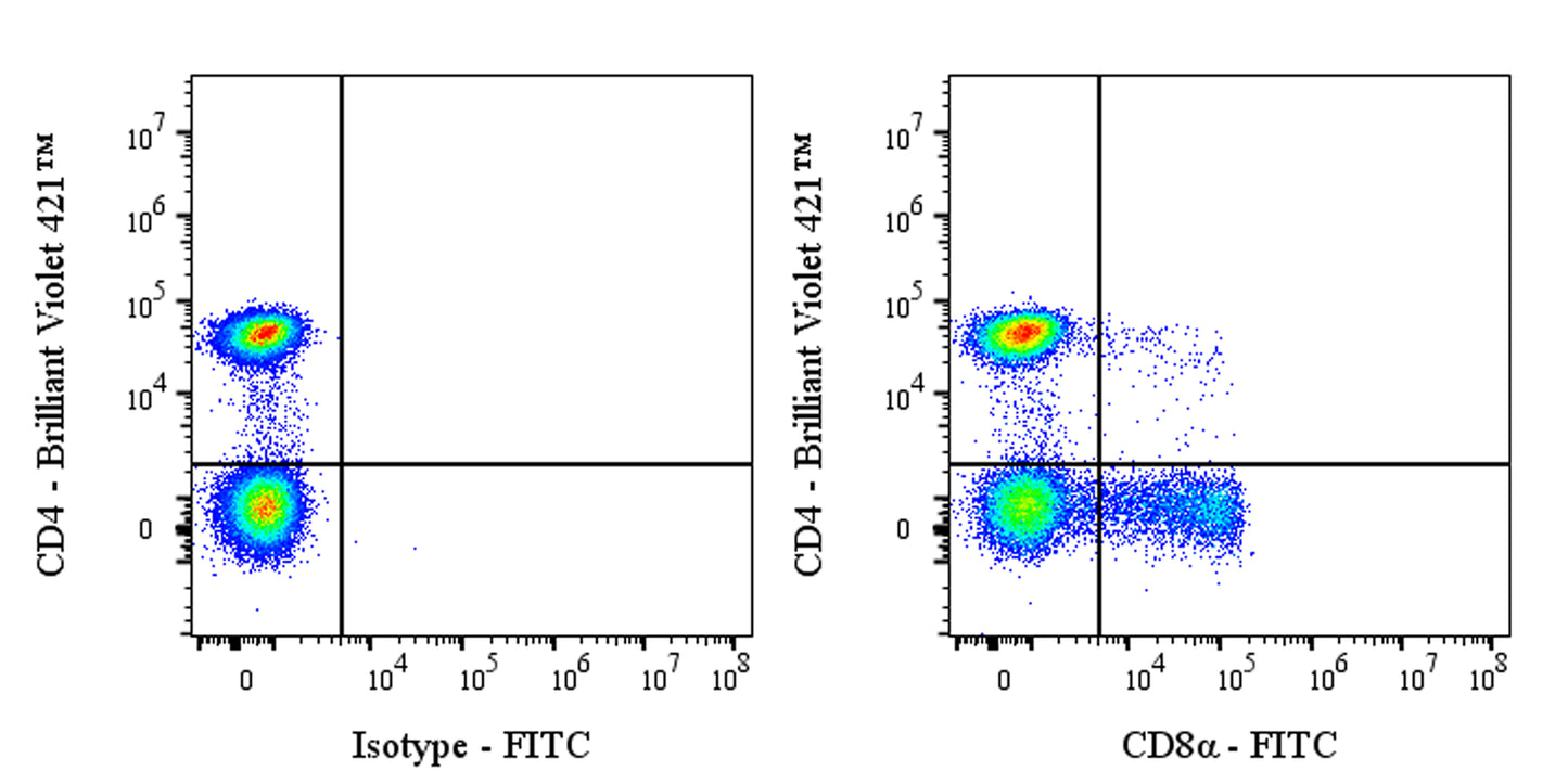 FITC Mouse Anti-Human CD8α Antibody (OKT-8)