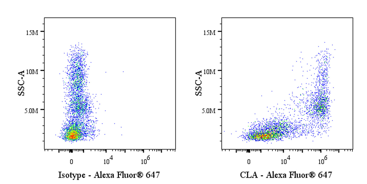 Rat Anti-Human/Mouse CLA Antibody (S-R679)