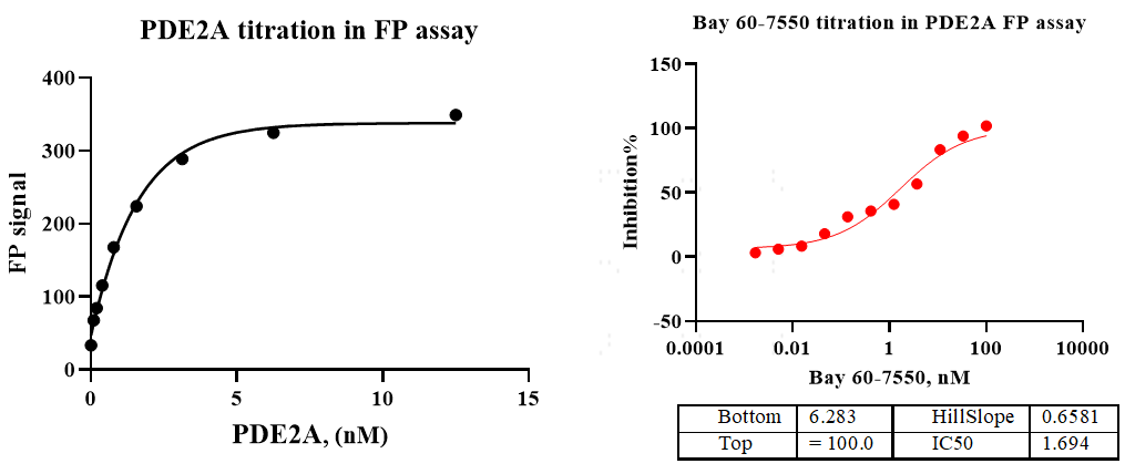 PDE2A GST&Flag Tag Protein, Human