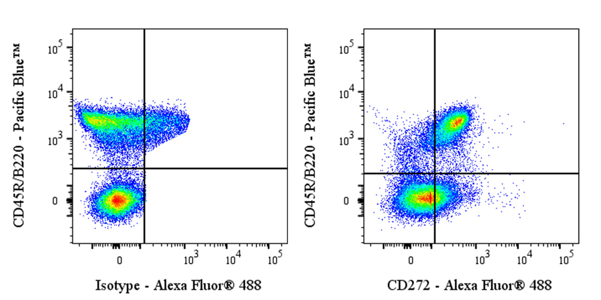 Alexa Fluor® 488 Armenian Hamster Anti-Mouse CD272 Antibody (6A6)