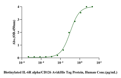 IL-6 Protein, Human