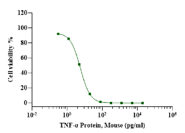 TNF-α Protein, Mouse