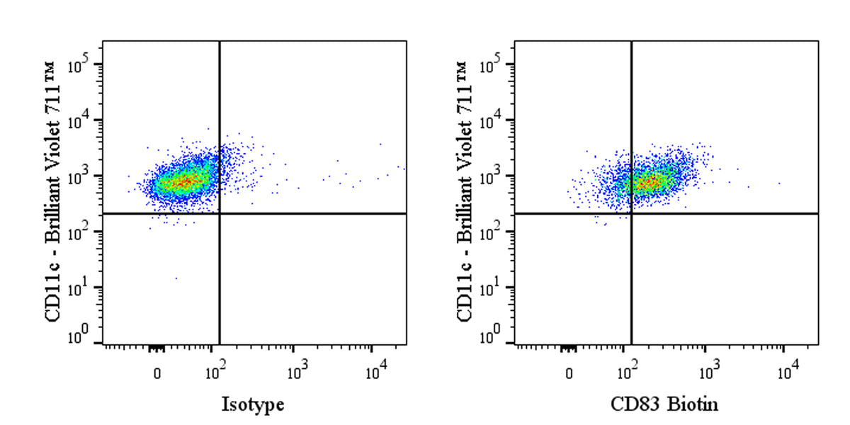 Biotin Rabbit Anti-Human CD83 Antibody (S-4523)