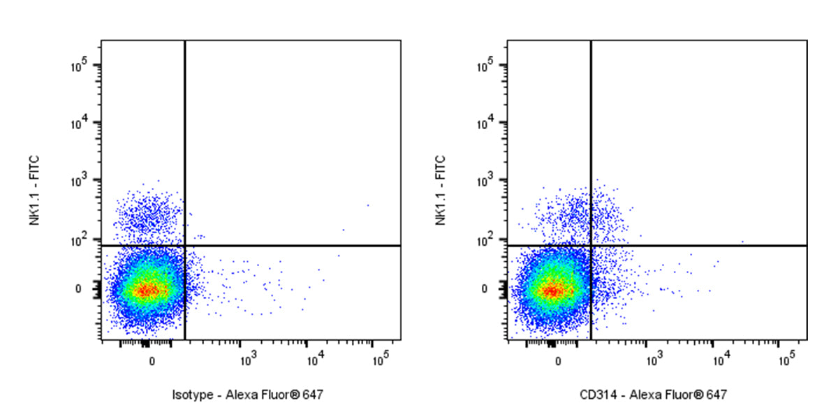 Rat Anti-Mouse CD314 Antibody (CX5)