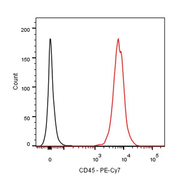 PE-Cy7 Mouse Anti-Rat CD45 Antibody (OX-1)
