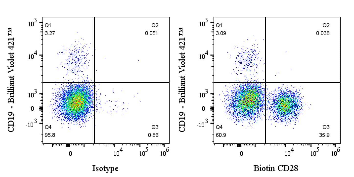 Biotin Mouse Anti-Human CD28 Antibody (S-R495-2)