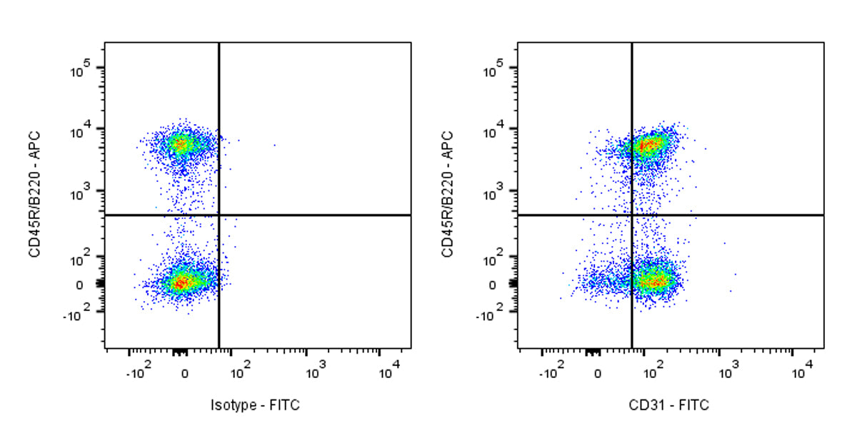FITC Rat Anti-Mouse CD31 Antibody (MEC13.3)
