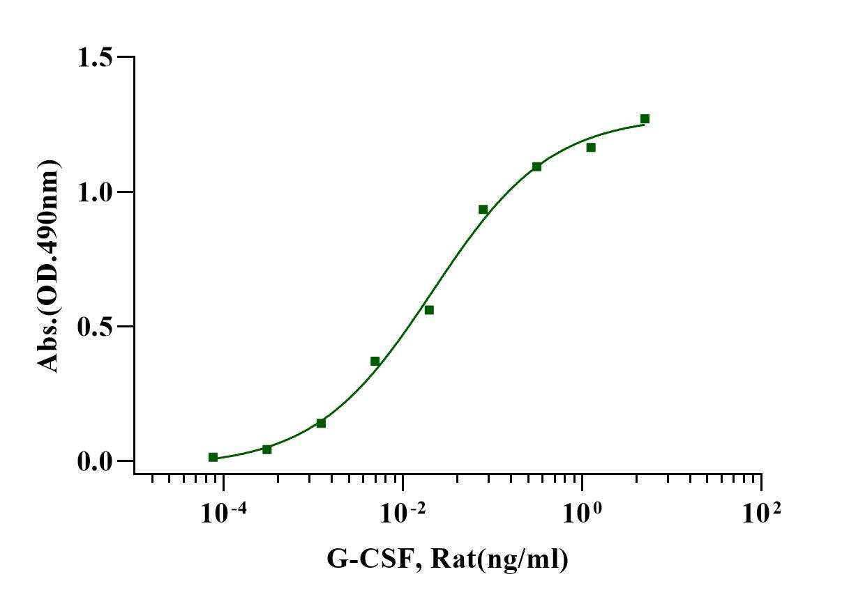 G-CSF Protein, Rat