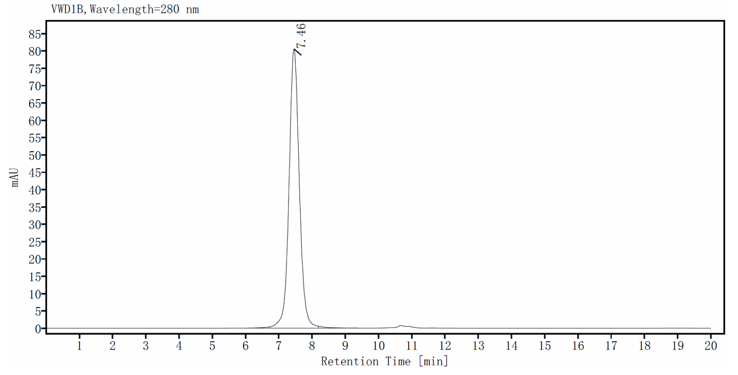 CD3 epsilon Fc&His Tag Protein, Human