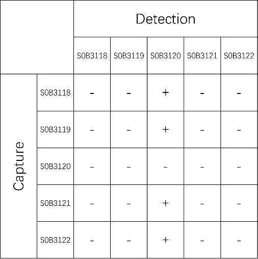 Thrombopoietin Recombinant Rabbit mAb (SDT-386-56)
