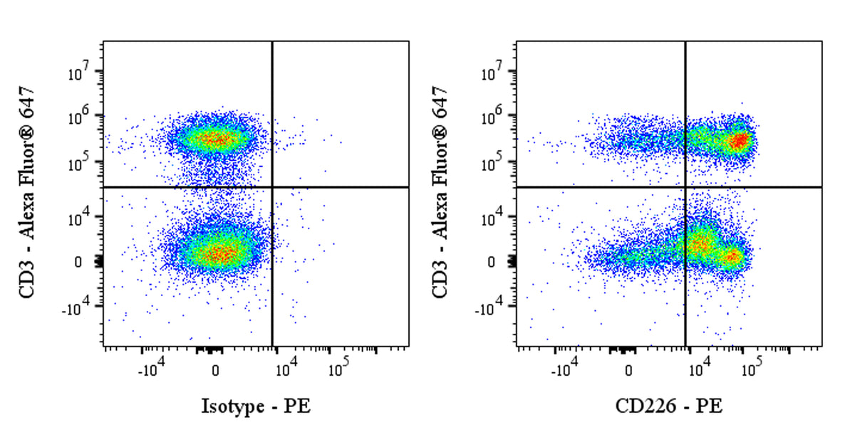 PE Mouse Anti-Human CD226 Antibody (DX11)