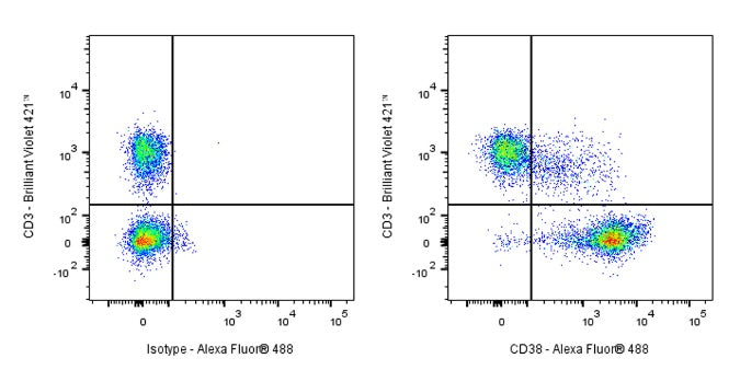 Rat anti-Mouse CD38 Antibody (90)