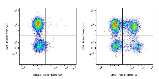 Alexa Fluor® 700 Mouse Anti-Human CD73 Antibody (S-715-115)
