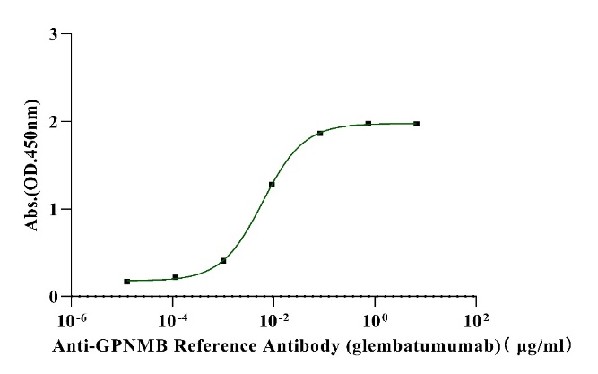 GPNMB Fc Chimera Protein, Human