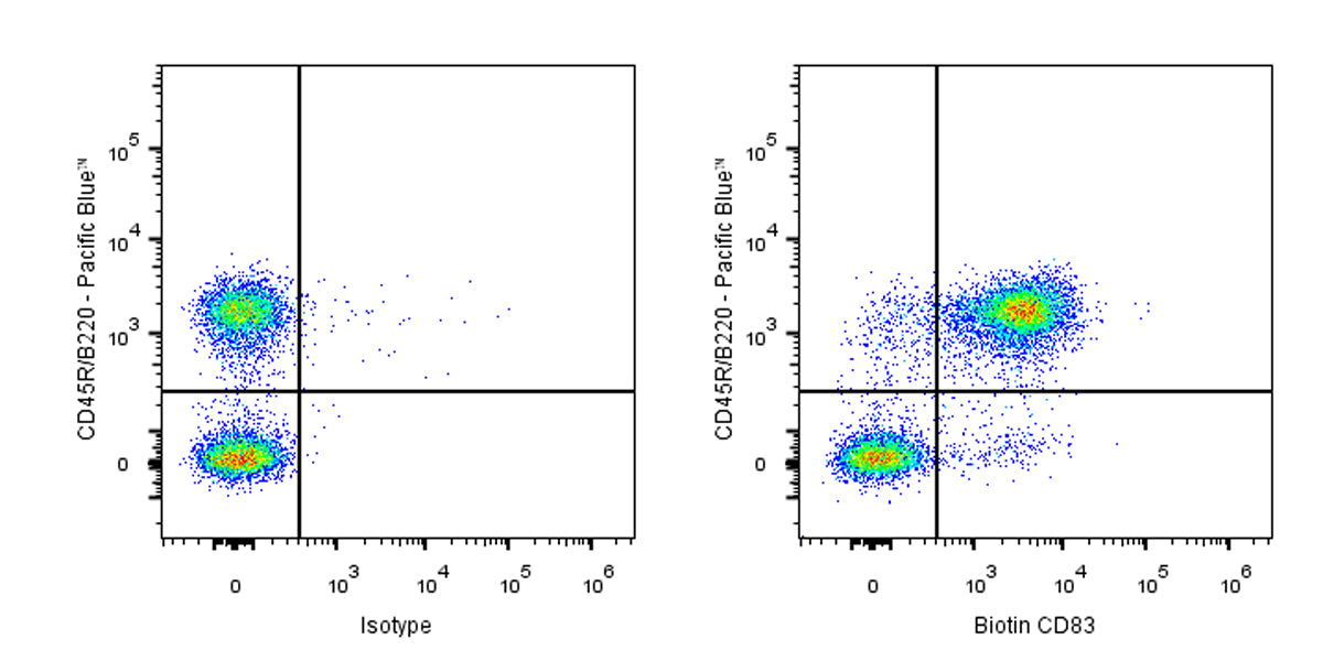 Biotin Rat Anti-Mouse CD83 Antibody (S-R522)