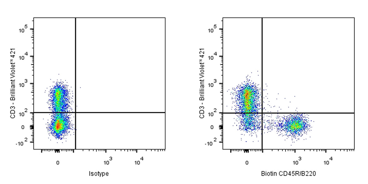 Biotin Rat Anti-Mouse CD45R/B220 Antibody (RA3-6B2)