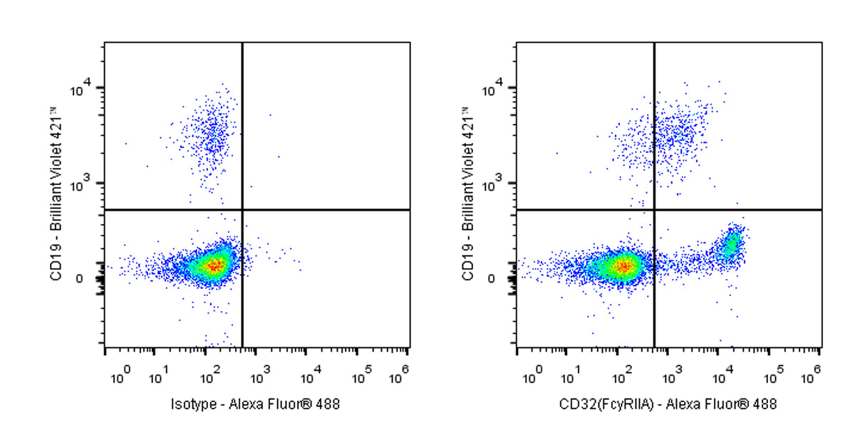 Mouse Anti-Human CD32 (FcyRllA) Antibody (IV.3)