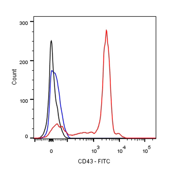 FITC Mouse Anti-Rat CD43 Antibody (W3/13)