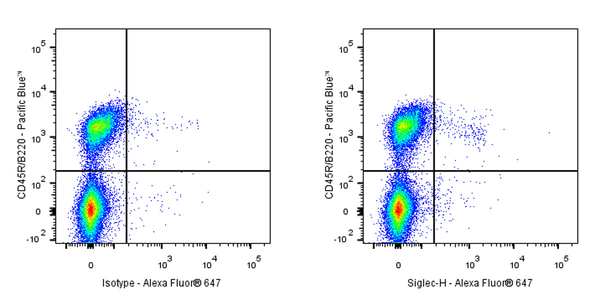 Rat Anti-Mouse Siglec-H Antibody (S-3779)