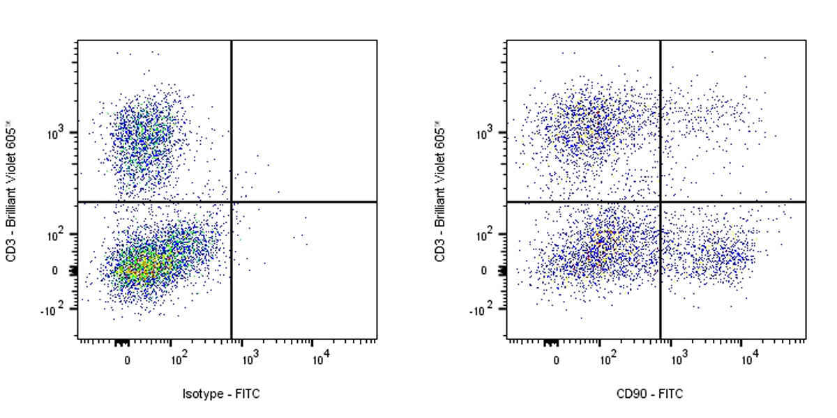 FITC Mouse Anti-Rat CD90 Antibody (S-R687)