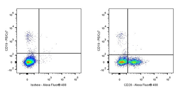 Alexa Fluor® 488 Mouse Anti-Human CD28 Antibody (9.3)