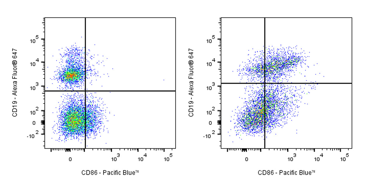 Pacific Blue Rat Anti-Mouse CD86/B7-2 Antibody (GL-1)