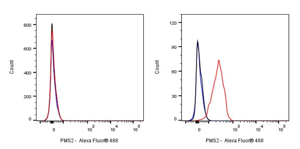 S-RMab® PMS2 Recombinant Rabbit mAb (SDT-R460)